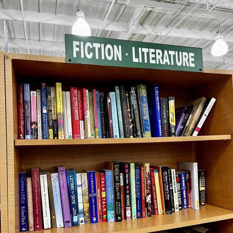 Fiction and literature